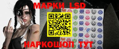 стафф Нальчик