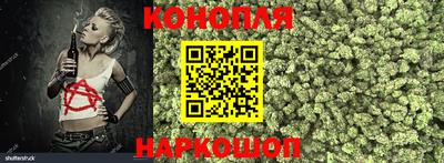 стафф Нальчик